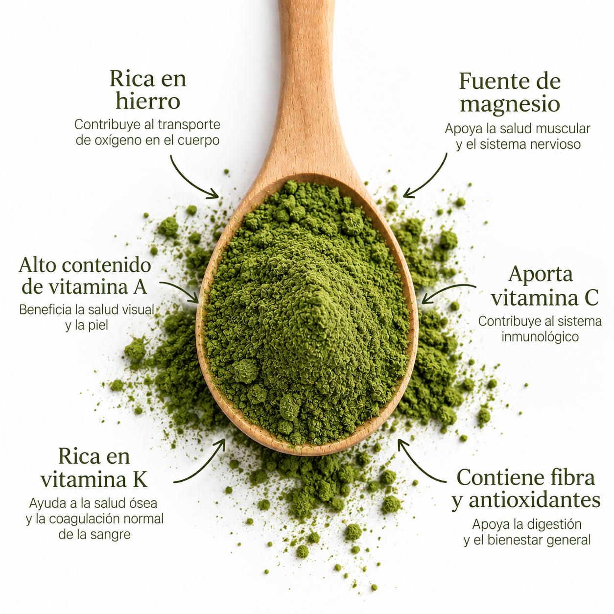 Espinaca Molida