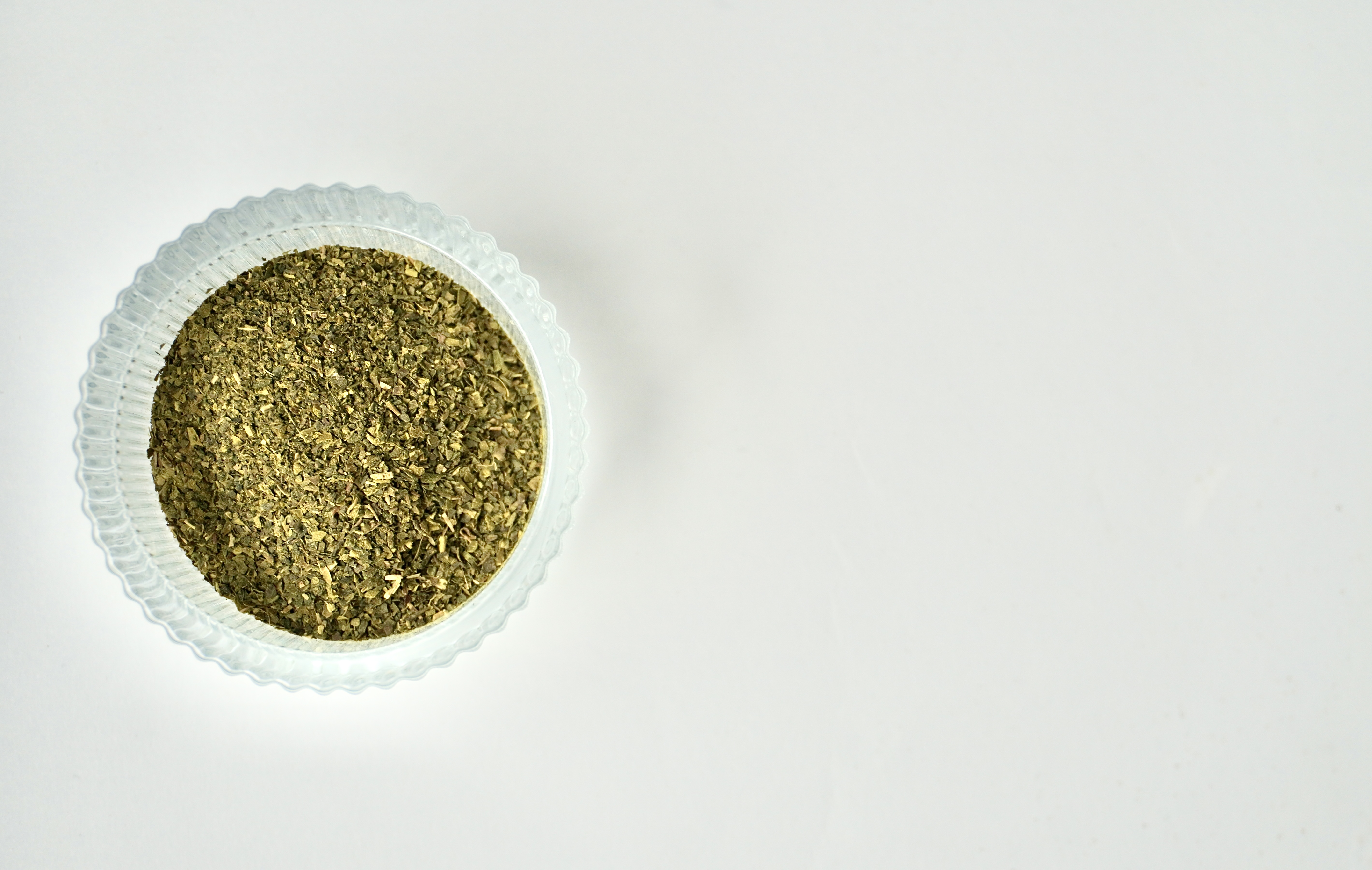 Salvia