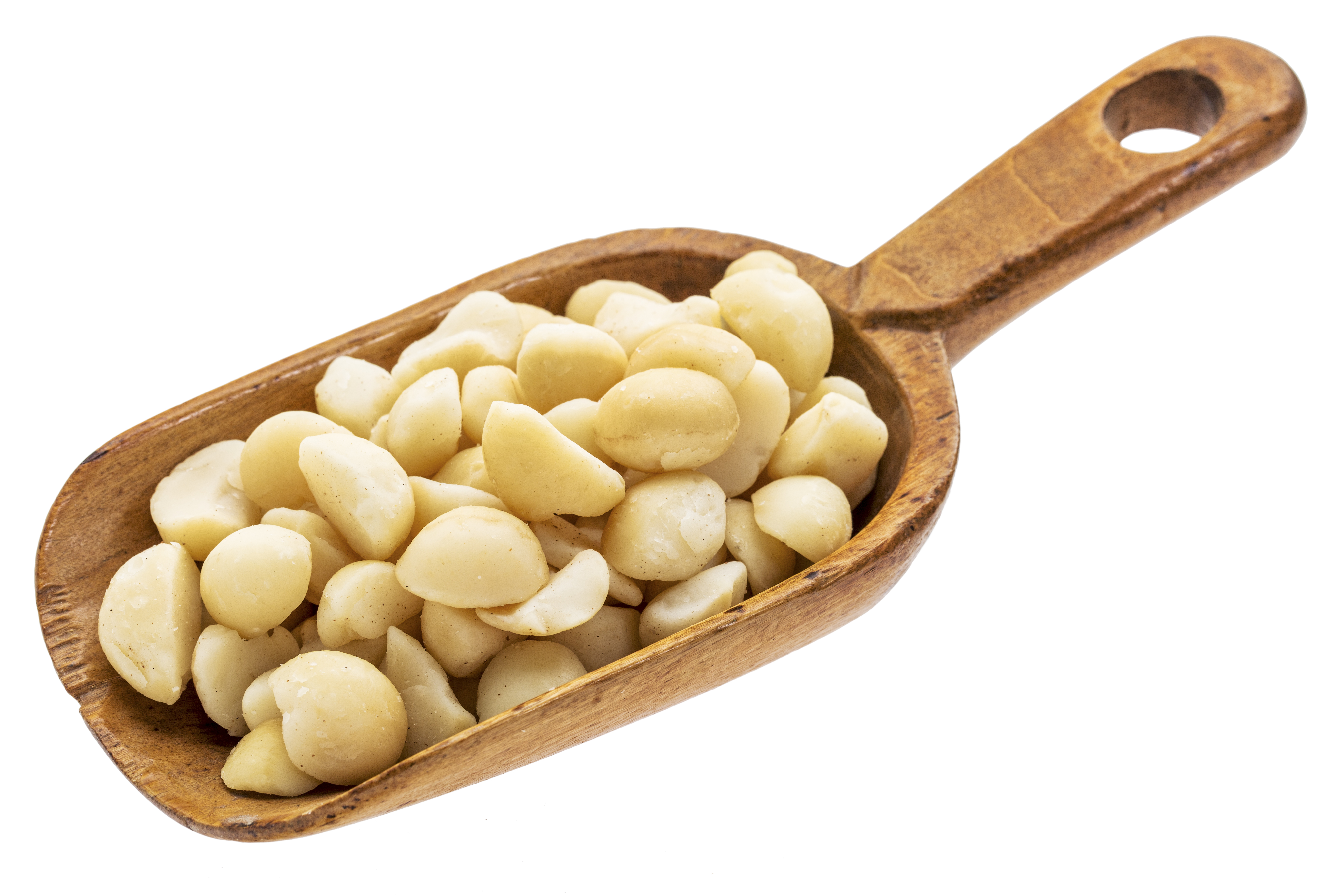 Nuez Macadamia